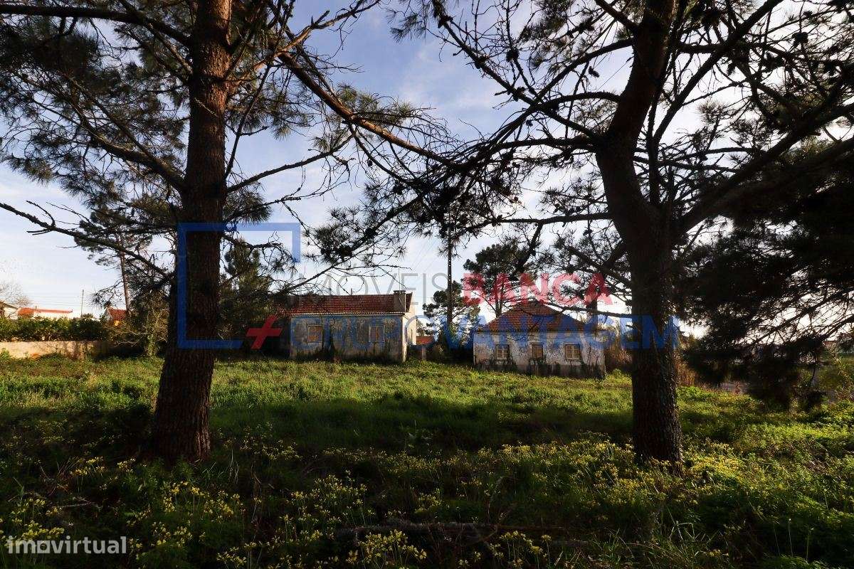 Quintinha com 2 moradias (T2 e T3) no Sobreiro, Mafra - Grande imagem: 3/25