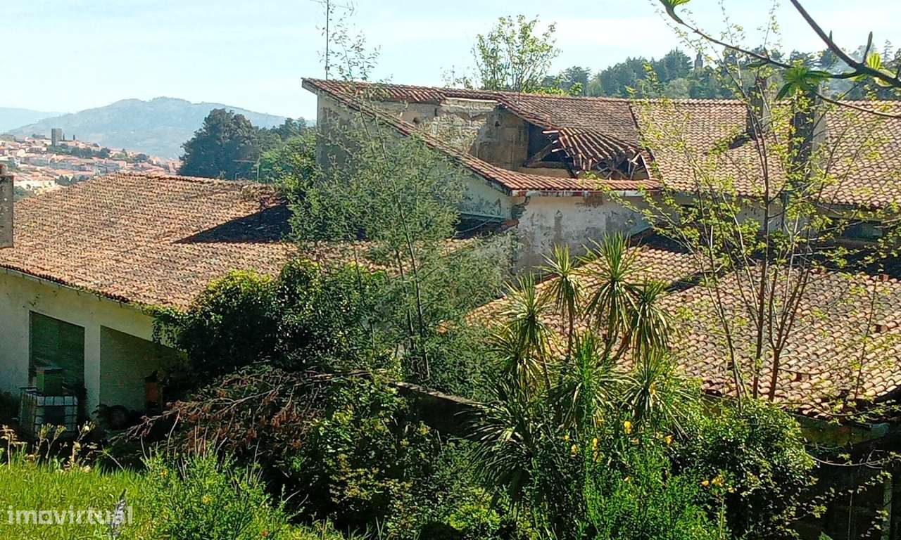 Terreno para Venda em Lamego: Grande Oportunidade de Investimento-28