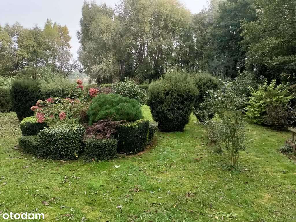 działka rekreacyjno-budowlana - Pełny obrazek: 5/17