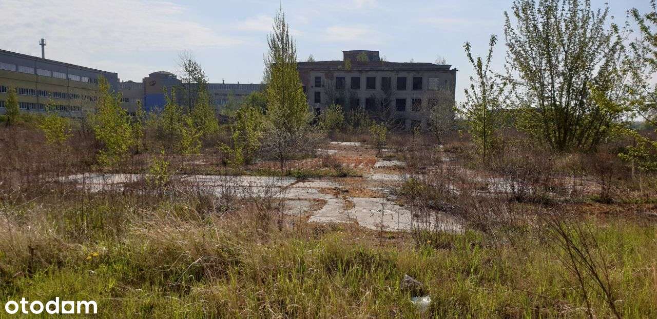 Działka inwestycyjna w strefie ekonomicznej - Pełny obrazek: 5/9