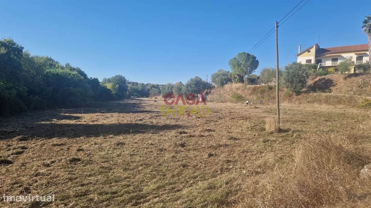 Moradia T6 Venda em Alcanena e Vila Moreira,Alcanena - Grande imagem: 5/60