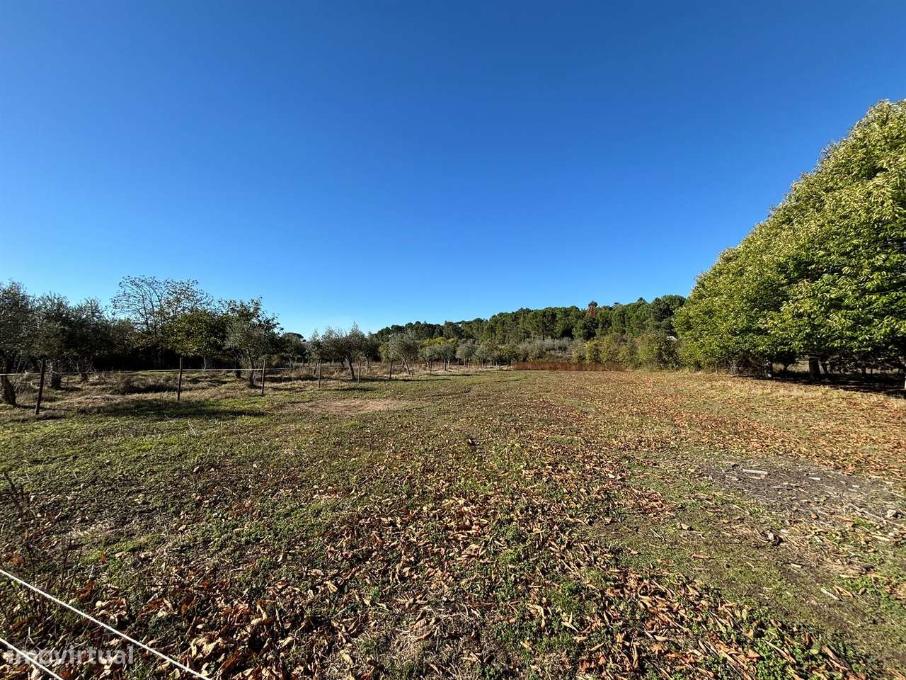 Quinta T5 Venda em Tourais e Lajes,Seia-24