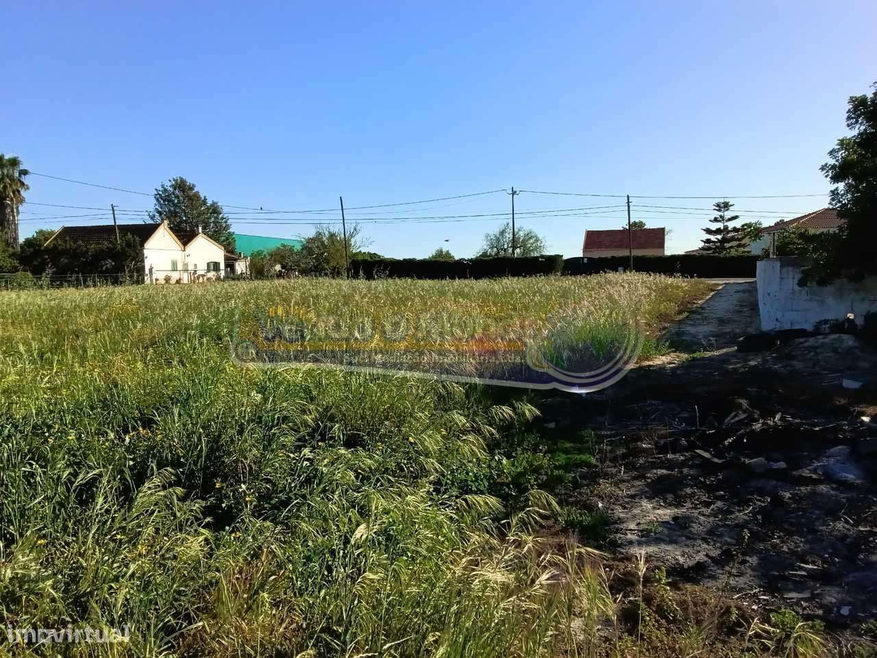 Terreno em Foros de Salvaterra (F729) - Grande imagem: 4/5