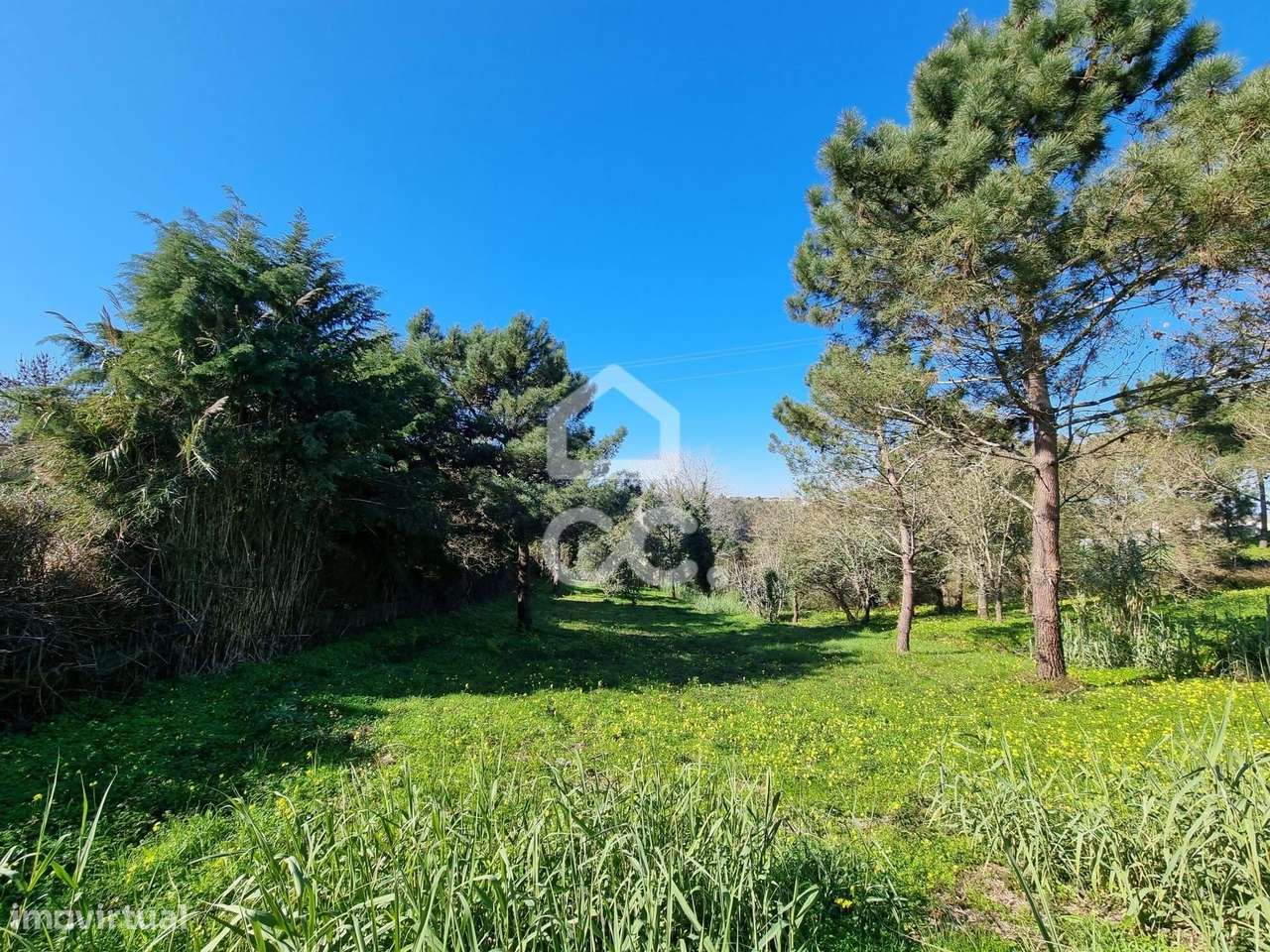 Terreno urbano no Carvalhal com possibilidade de construção de uma Mor - Grande imagem: 5/6