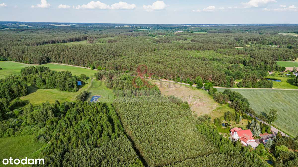 Lipy- Działka na Kaszubach z możliwością zabudowy - Pełny obrazek: 5/8