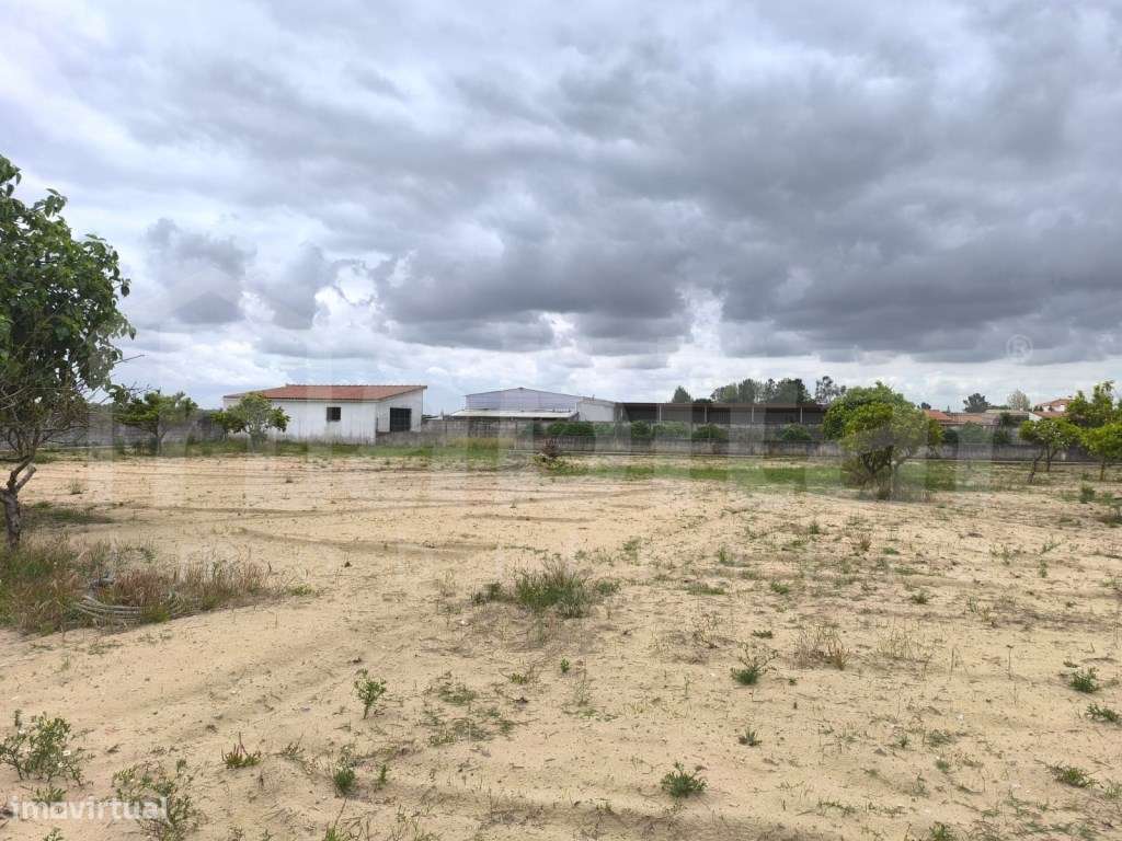 Moradia T3 com 5000m² de terreno Foros de Salvaterra-20
