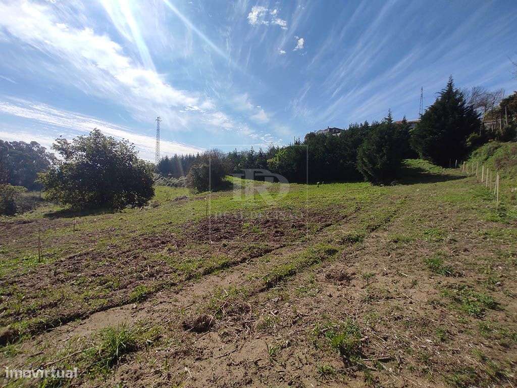 Quinta com 15000m2 em Santo Tirso-11