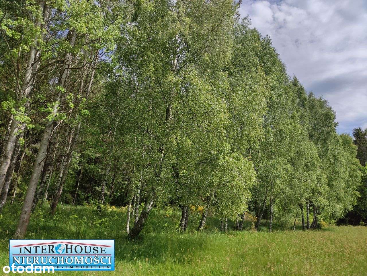 Na sprzedaż malowniczo położone działki Rekowo - Pełny obrazek: 5/12