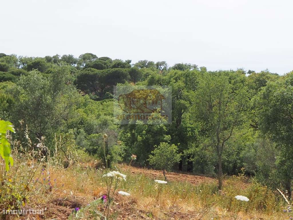 Monte Alentejano com vista mar a 10 minutos de Melides! - Grande imagem: 3/6