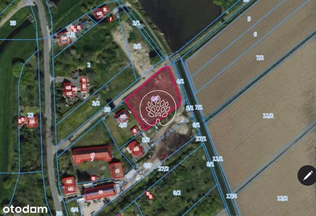 Sielski krajobraz. Łęgnowo. - Pełny obrazek: 2/2