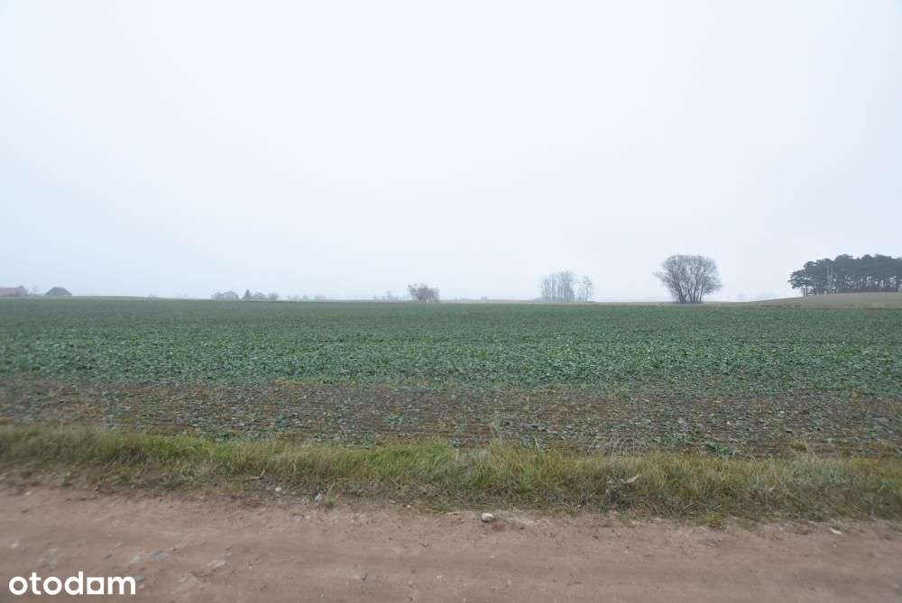 Działka budowlana możliwość budowy 3 domów BRZOZA/Niepruszewo-9