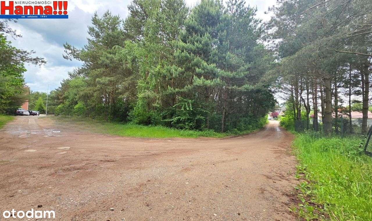 Borkowo. Plan miejscowy. Budowlana. Jezioro/Las.-3