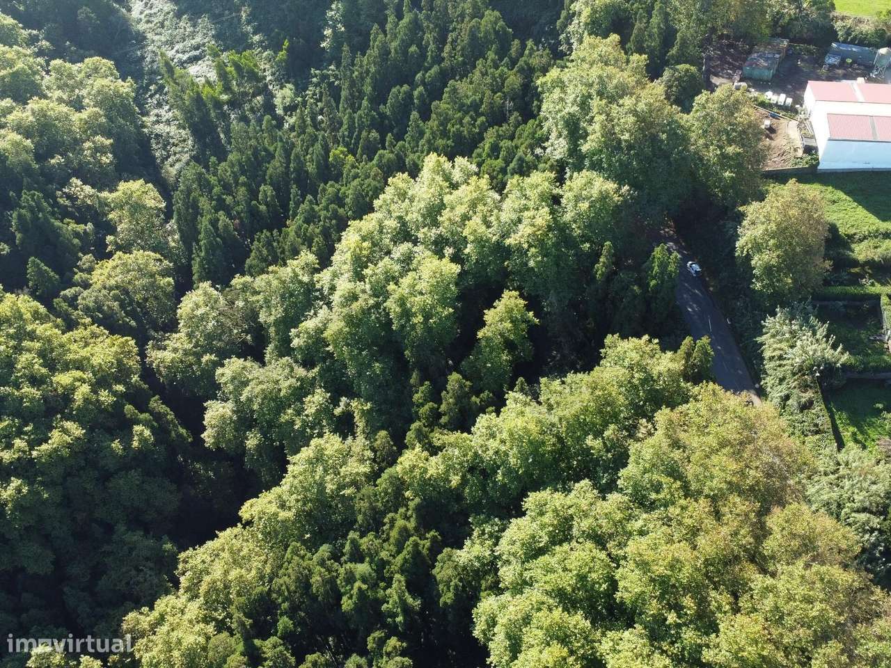 Terreno Rústico em Lomba da Maia - Grande imagem: 4/10
