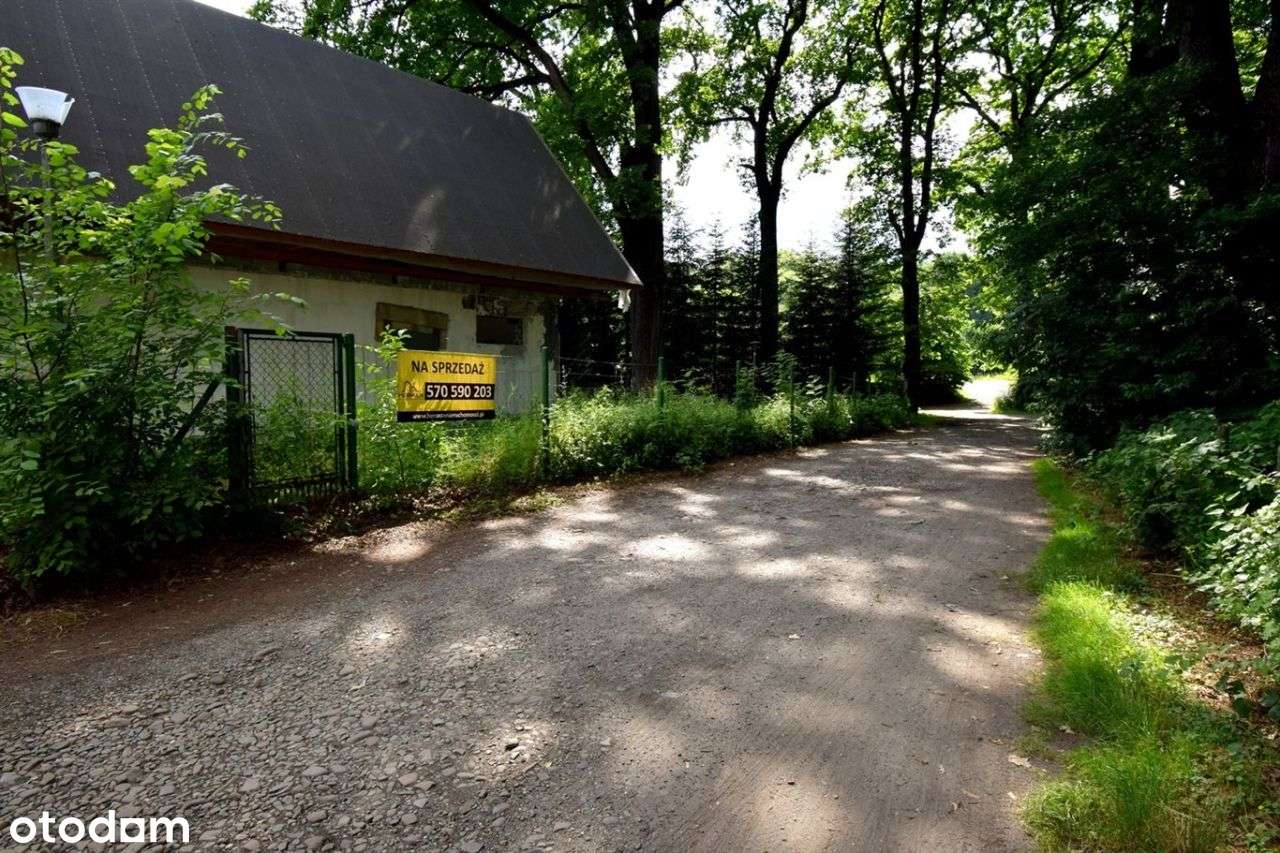 Budynek Rekreacyjny 80m2, Drogomyśl,Działka 4435m2-13