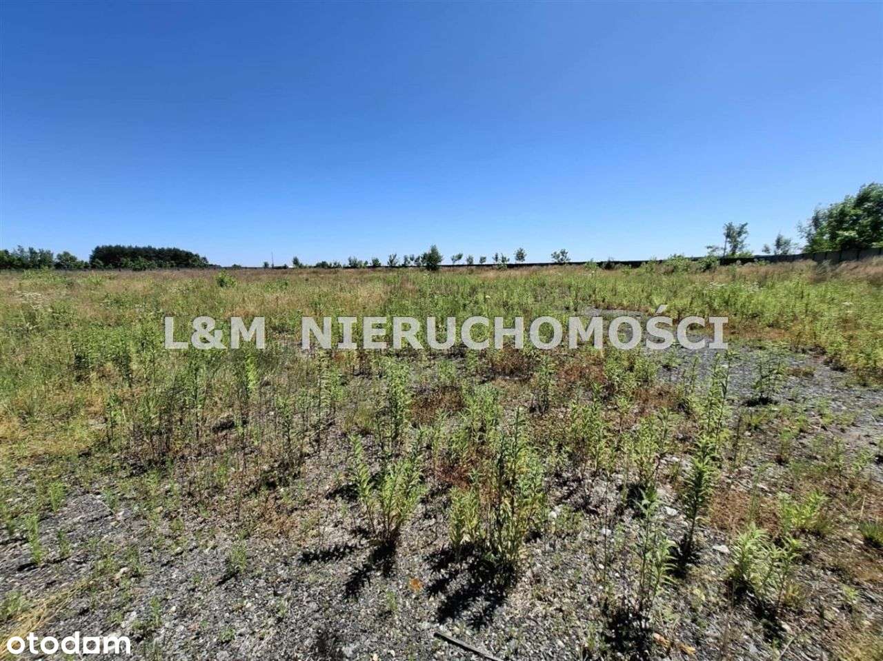 Usługowa działka w Wilczy !! - Pełny obrazek: 4/10