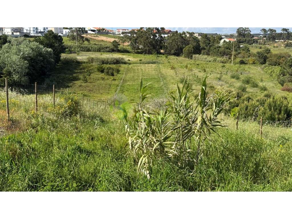 Terreno parcialmente urbano de 1.920 m2, perto de Torres Vedras-9