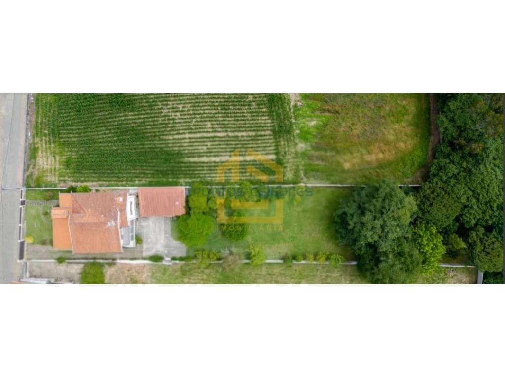 Moradia T4 de 4 Frentes Renovada inserida num lote de 1450m2 | Laún...-34