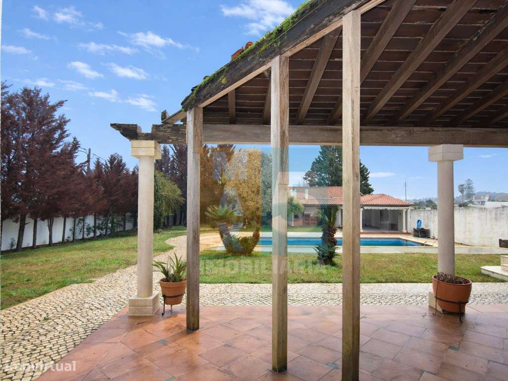Quinta com 4.880 m2 - Alpiarça-33