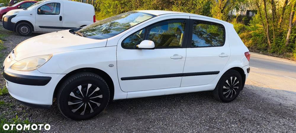 Peugeot 307 1.6 Mistral - 15