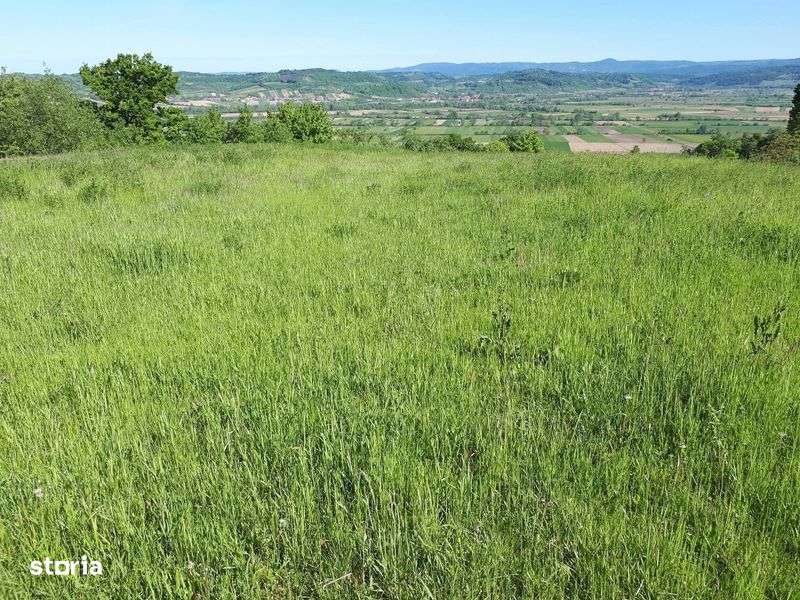 Vand case si terenuri la tara - Imagine principală: 5/7