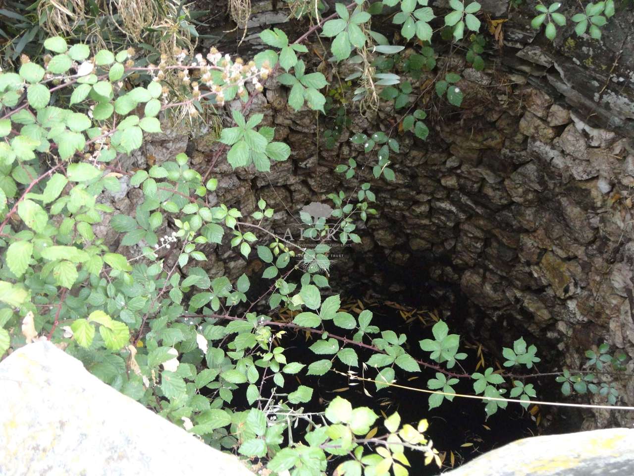 Monte Alentejano com Projeto de Turismo Rural Aprovado – Santiago do C-14