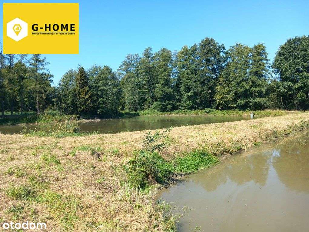 Tereny zielone - Działka z potencjałem-9