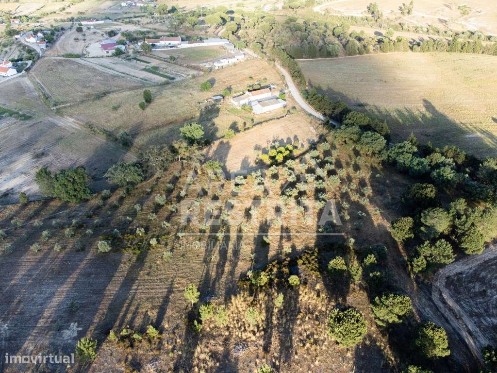 Terreno 5000 m2 -Canha com viabilidade de construção 500 m2 - Grande imagem: 4/8
