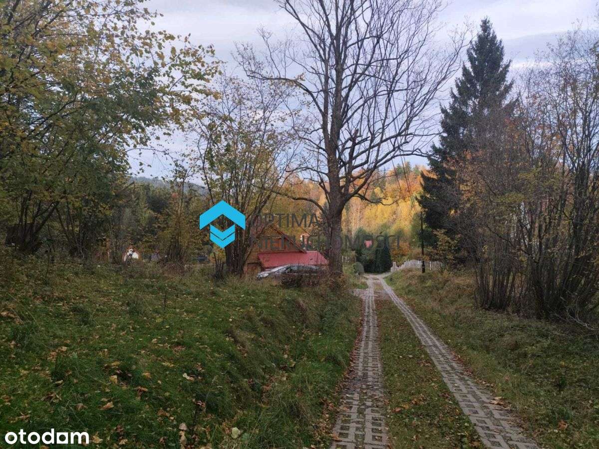 Działka w Przesiece 2500mkw - Pełny obrazek: 4/19