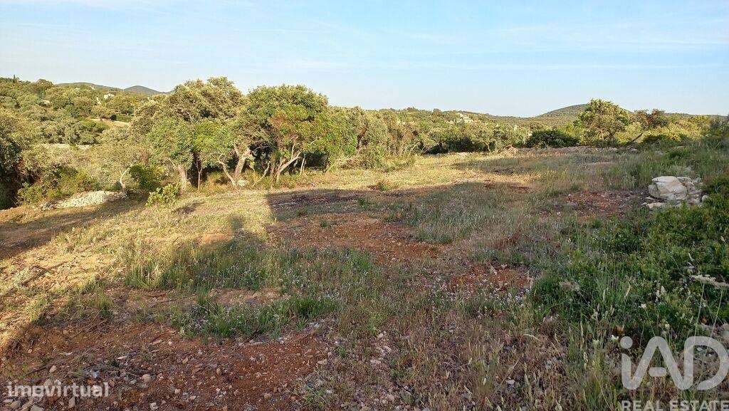 Terreno em Santa Bárbara de Nexe de 1880,00 m2 - Grande imagem: 5/6