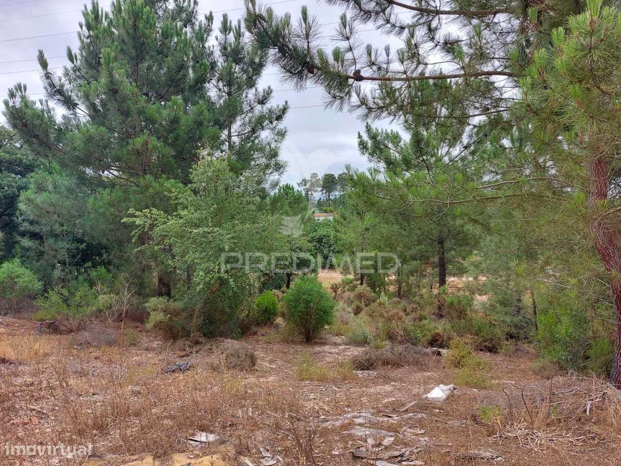 Oportunidade de Investimento - Loteamento em fase de Aprovação - Grande imagem: 4/5