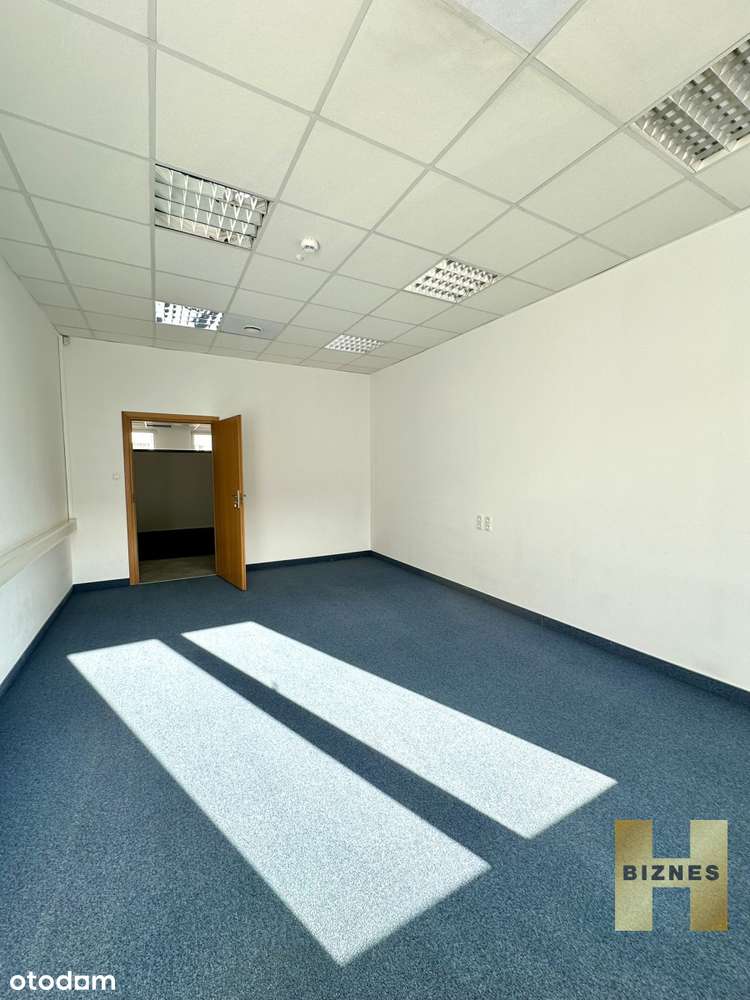 Lokal biurowy 228 m2 Stare Miasto - Pełny obrazek: 4/14