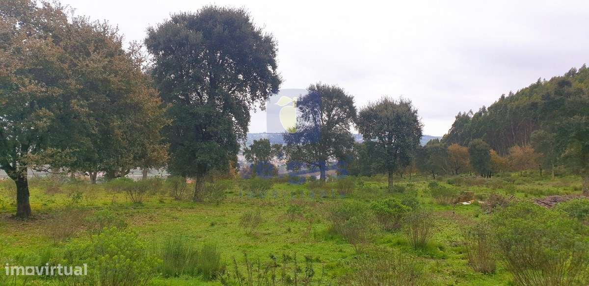 Terreno Arruda dos Vinhos - Grande imagem: 4/19