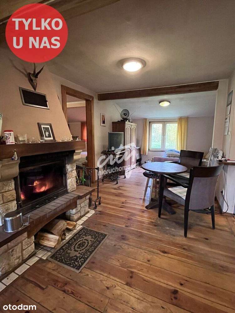 Duża działka z dostępem do jeziora pod Szczecinem!-6