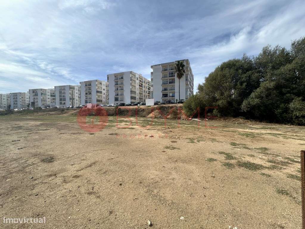 Lote para Moradia no Centro de Lagoa - Construa a Casa dos Seus Sonhos - Grande imagem: 4/17