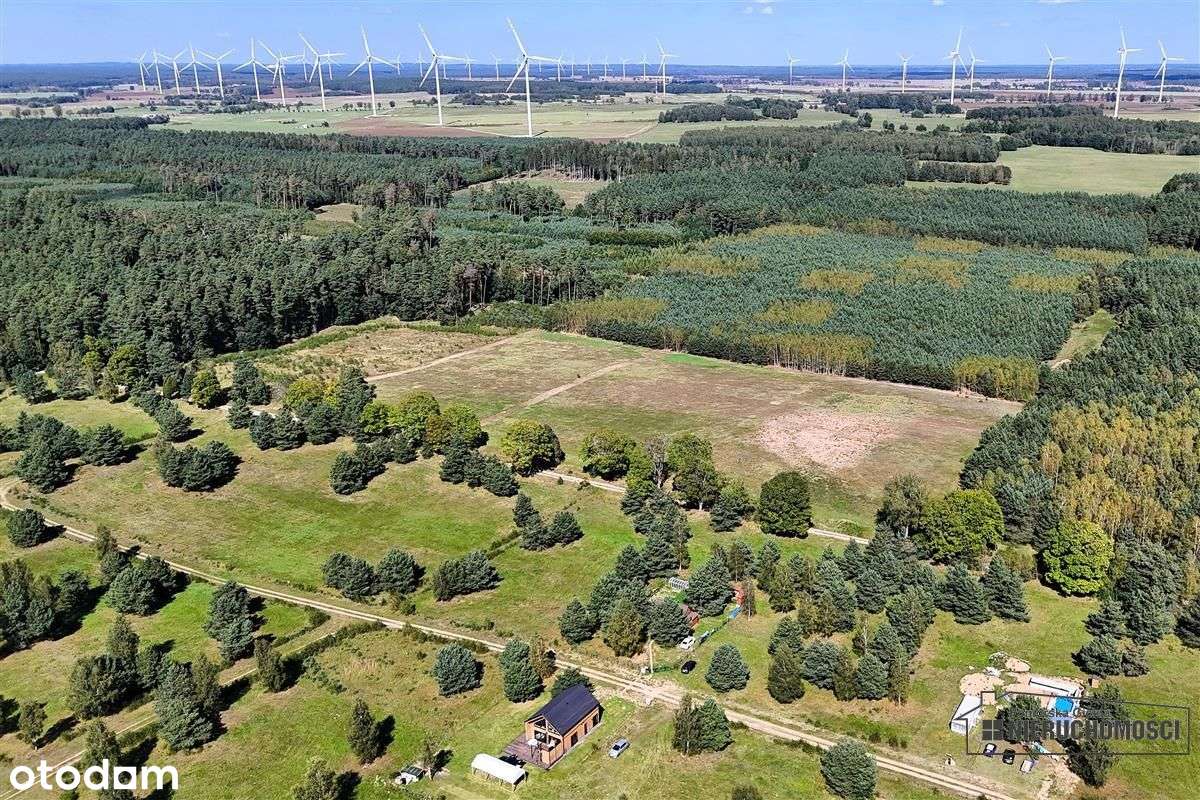 Okolica jeziora Dołgie i kompleksów leśnych. - Pełny obrazek: 4/20