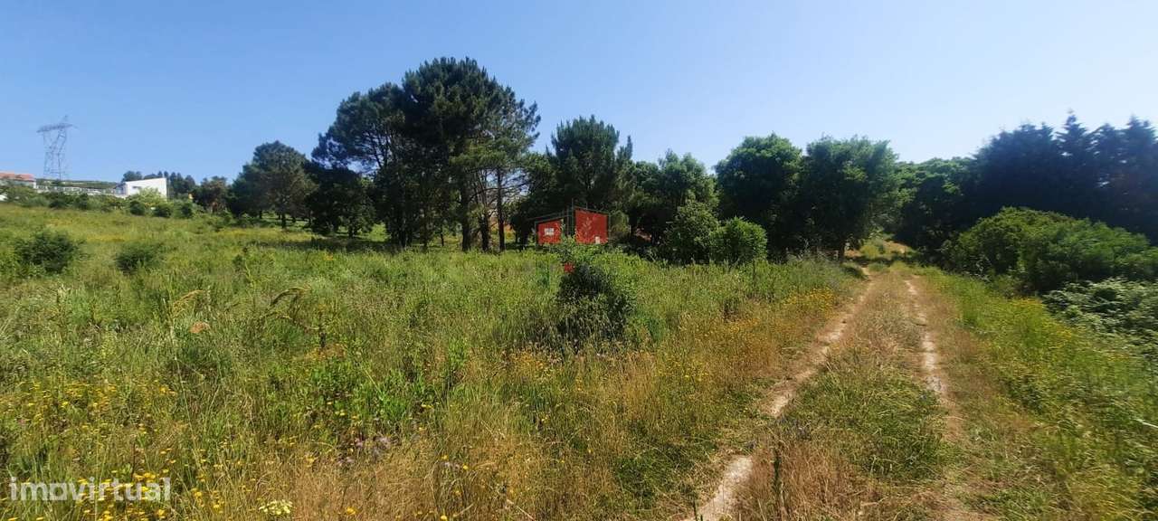 Terreno Inserido em Área Urbana - Grande imagem: 5/7