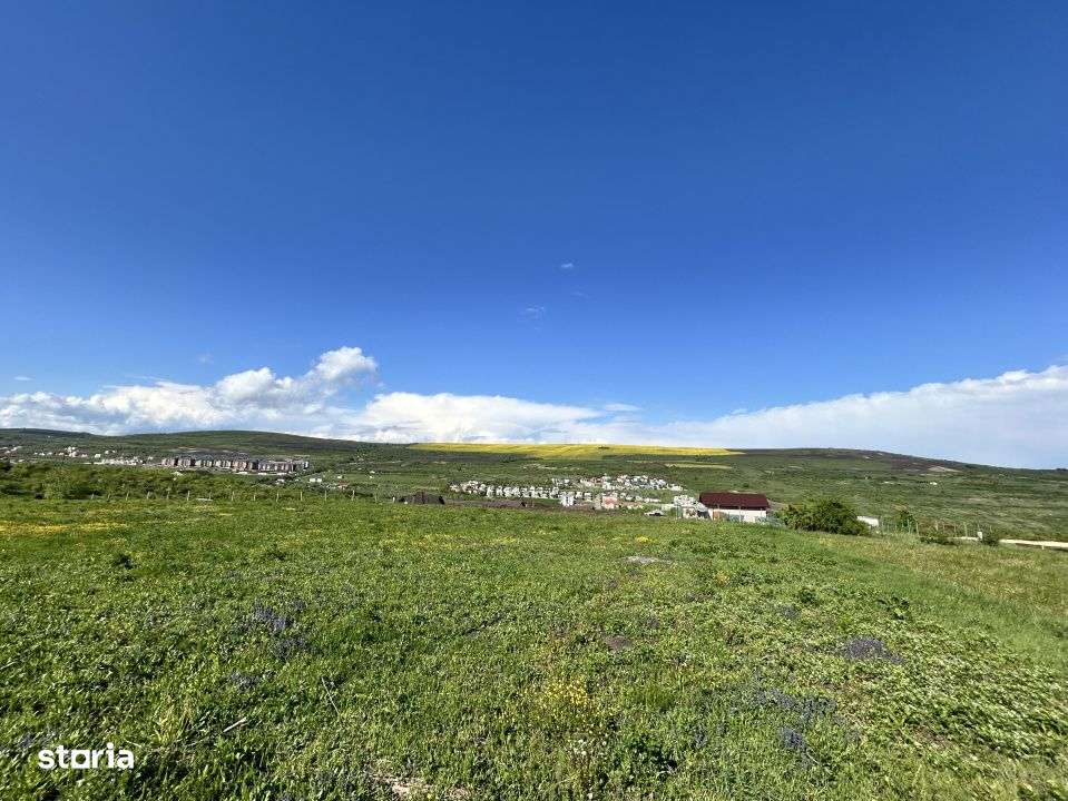 Teren Valea Chintaului / Cluj 5.547mp  parcelabil - Imagine principală: 1/7