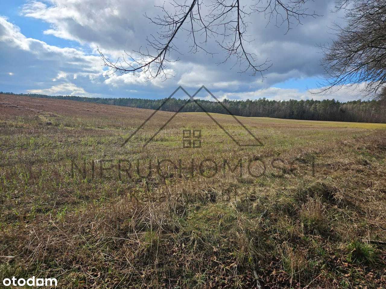 Działka budowlana w Łomnicy-6