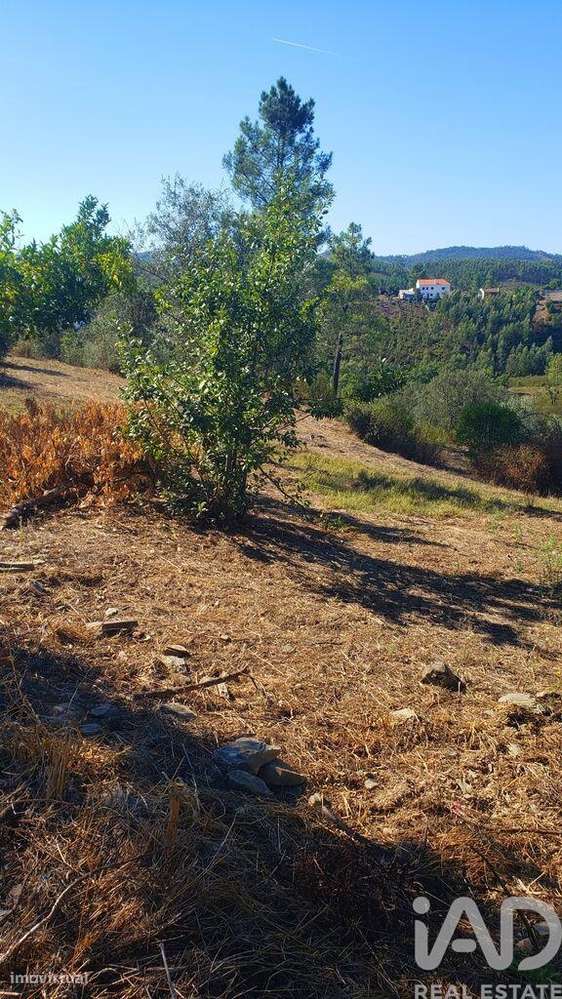 Moradia isolada T4 em Cardigos de 158,85 m2-22