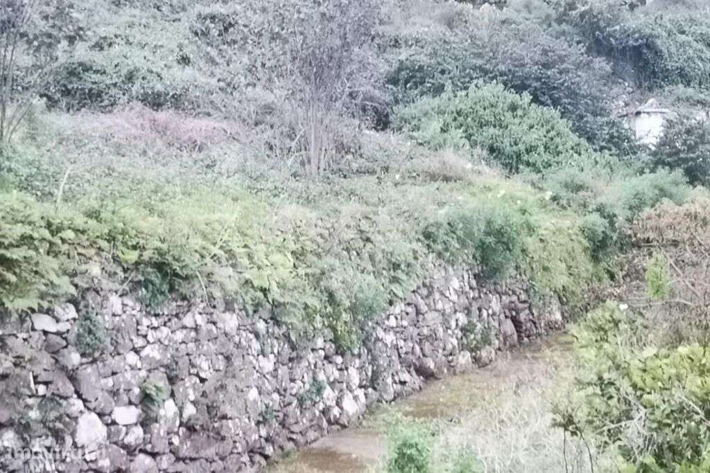 TERRENO PARA CONSTRUÇÃO - SALÃO - GAULA - Grande imagem: 5/12