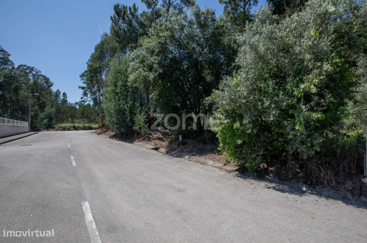 Terreno Rústico São Facundo - Coimbra - Grande imagem: 3/19