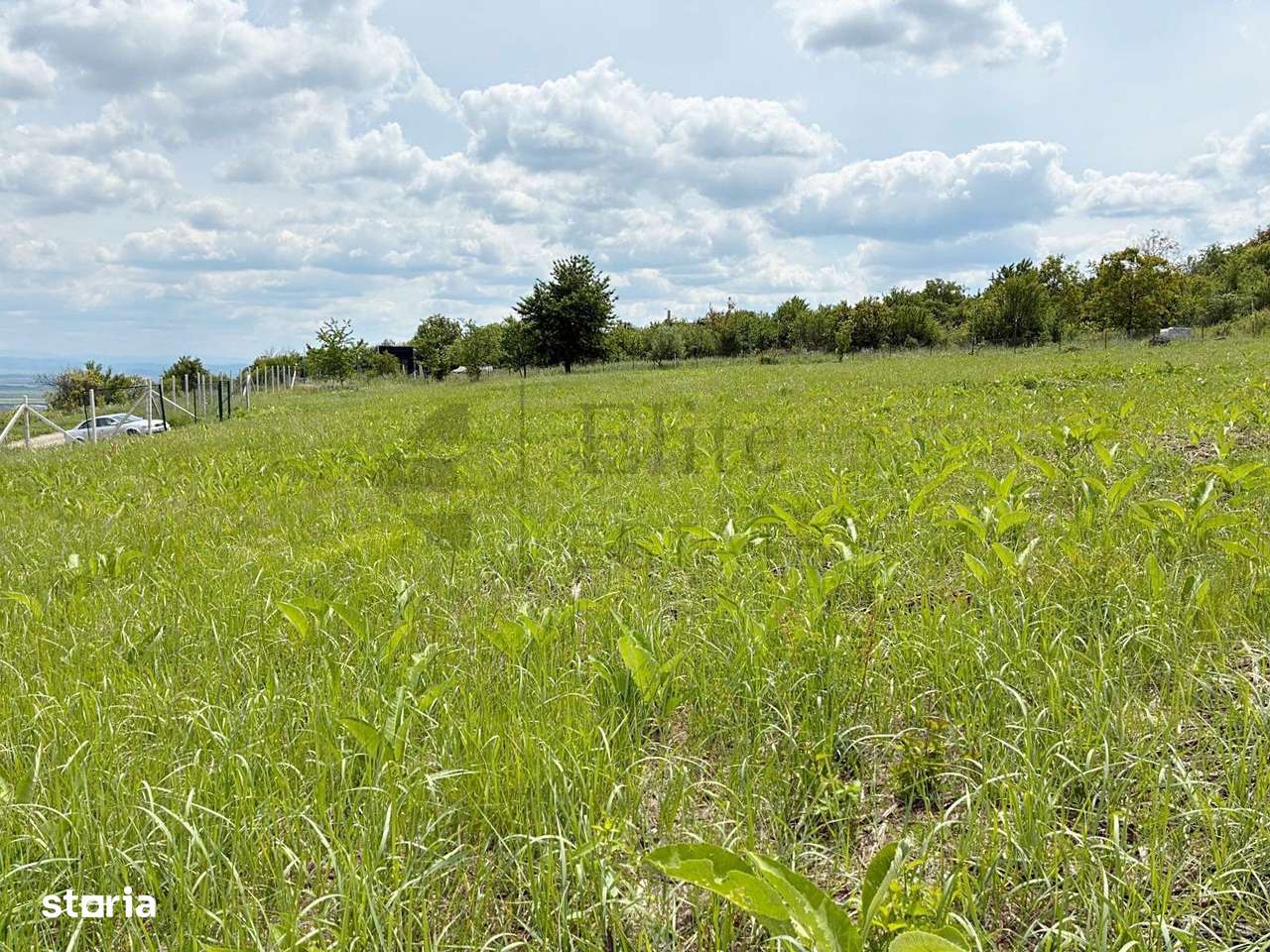 Teren 9461 mp cu panorama in Cartierul Podgoria din Oradea - Imagine principală: 5/8