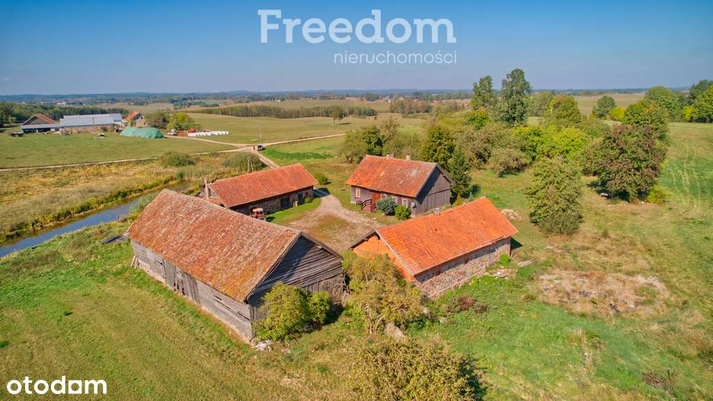 Siedlisko na Mazurach z własnym sadem i stawem - Pełny obrazek: 4/19