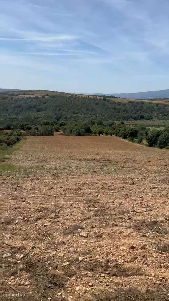 Terreno de cultivo com 600.00 m2 em M. de Cavaleiros.-4