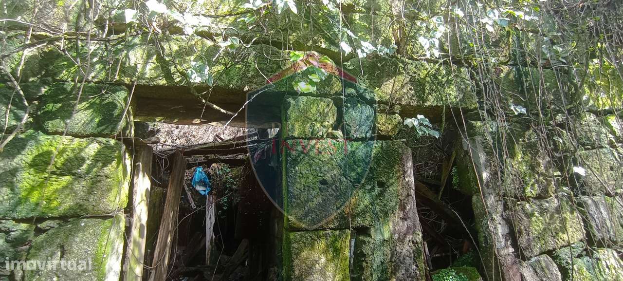 Quinta  Venda em Silgueiros,Viseu-13