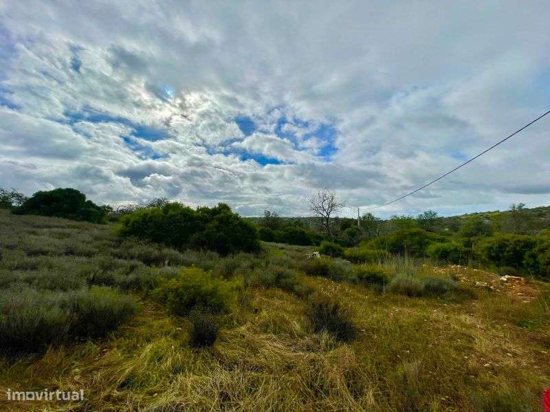 Terreno para venda no Aroal, Boliqueime - Grande imagem: 5/12