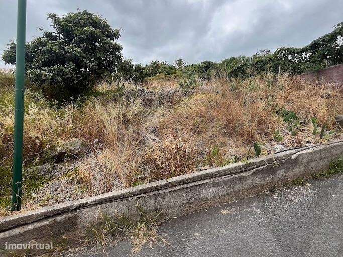 Terreno em Gaula I Construa a sua casa de Sonho-18