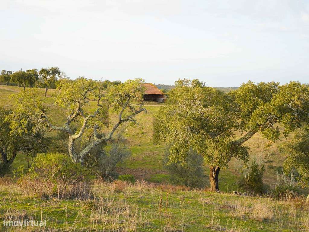 Terreno para Venda com 34 Hectares com Ruina na Serra de Grândola /...-15