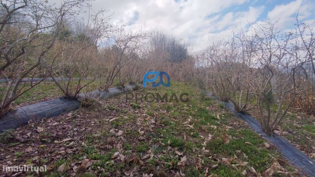 Terreno Urbanizável de 7959 m² com Armazém-40