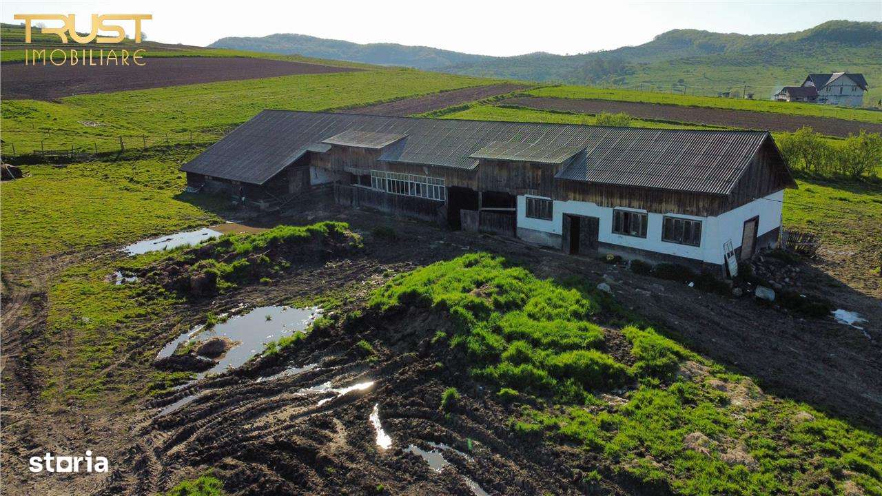 Ferma de vanzare, teren, constructii, saivan, lac - Imagine principală: 4/16